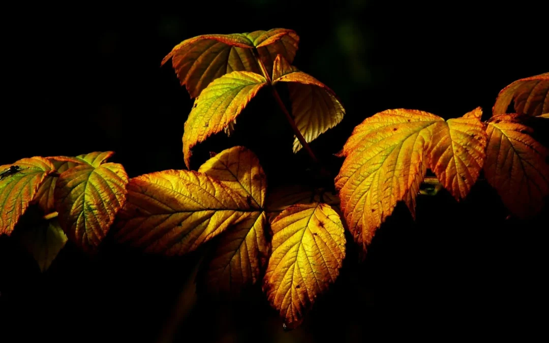 Snaga žene: Brini o sebi, ne čekaj oktobar