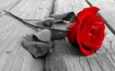 Kad tuga nenadano pokuca